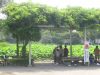 kamakura09.jpg