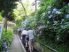 kamakura23.jpg