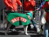 St. Patrick's Day