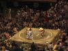 will_sumo05.jpg